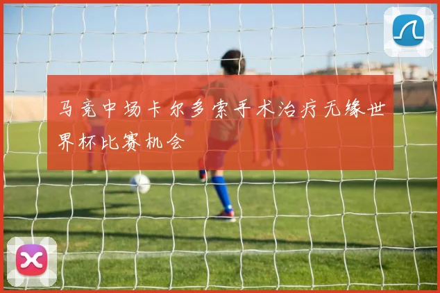 马竞中场卡尔多索手术治疗无缘世界杯比赛机会